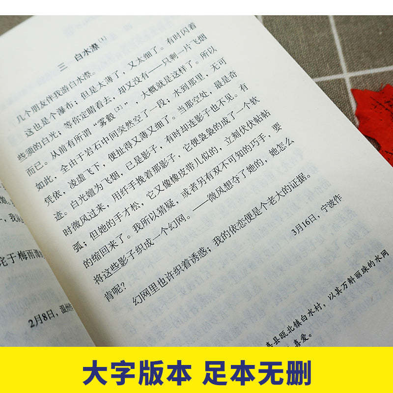 背影