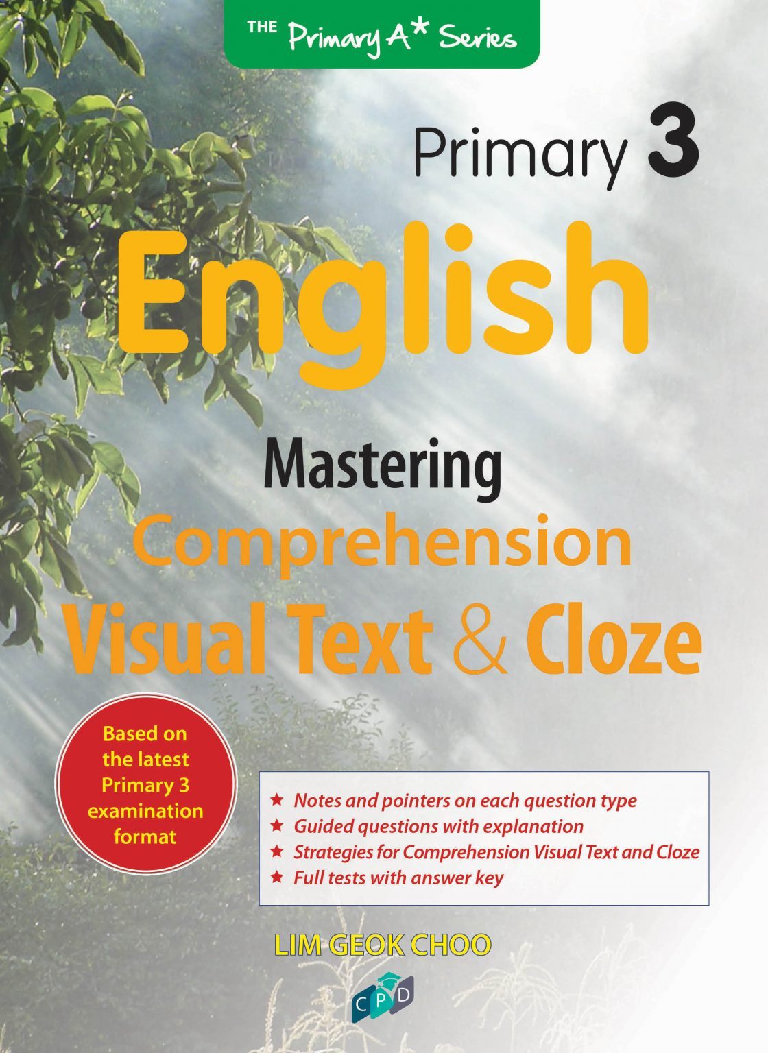 Primary 3 English: Mastering Comprehension Visual Text and Cloze