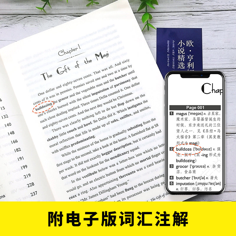 Selected Stories by O Henry