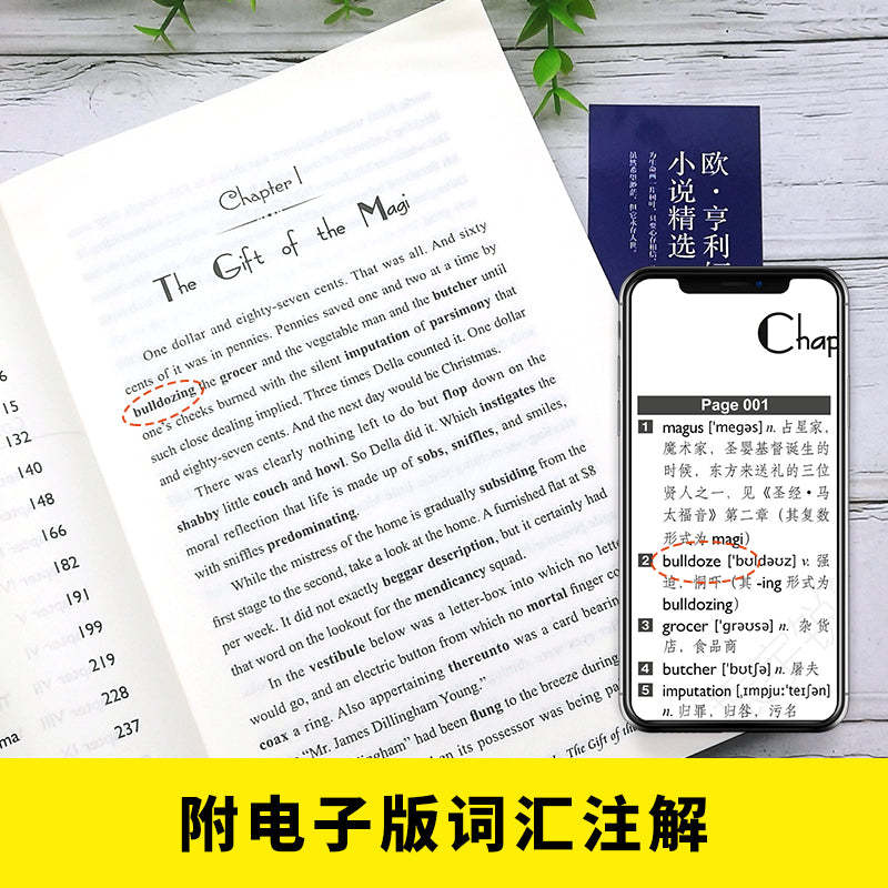 Selected Stories by O Henry