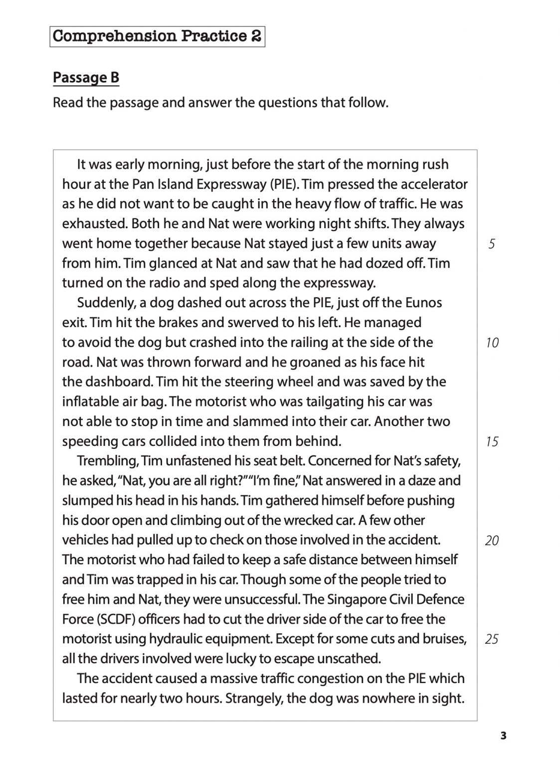 Primary 4 English Comprehension Practice