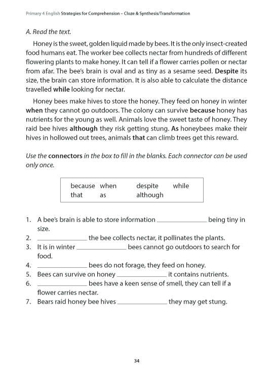Primary 4 English: Strategies for Comprehension Cloze & Synthesis/Transformation