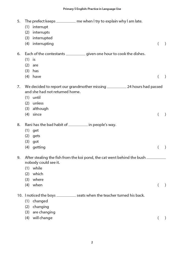 Primary 5 English Practice in Language Use