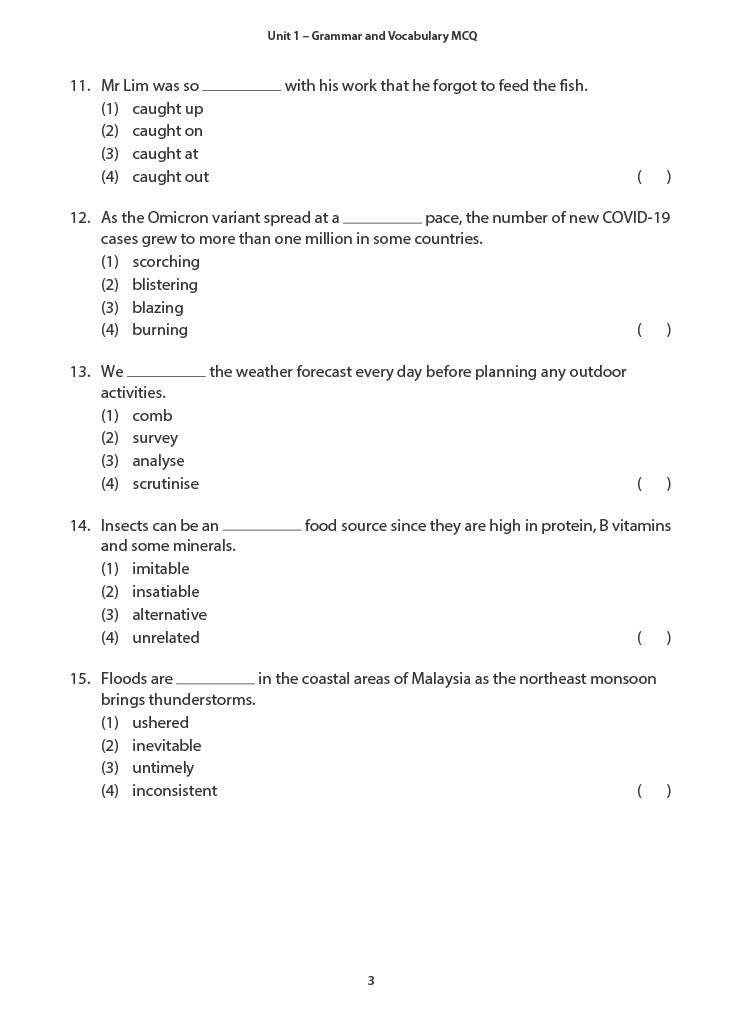 Primary 5 English Practice in Language Use