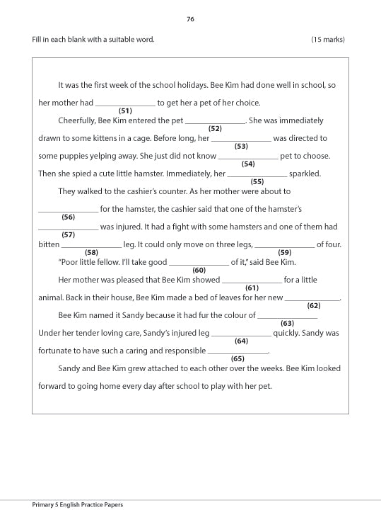 Primary 5 English Practice Papers
