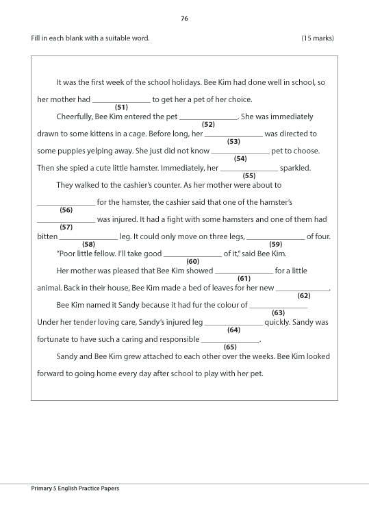 Primary 5 English Practice Papers