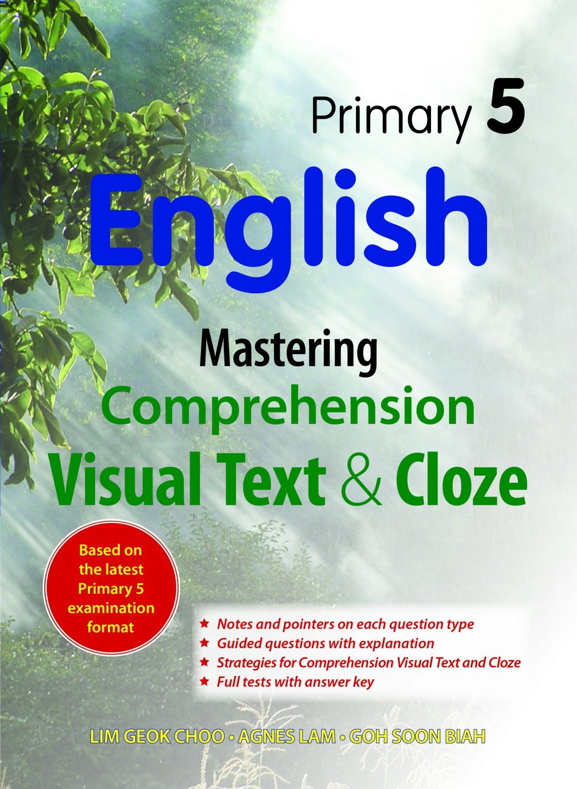 Primary 5 English: Mastering Comprehension Visual Text and Cloze