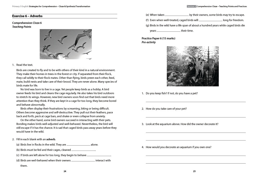 Primary 5 English: Strategies for Comprehension Cloze & Synthesis/Transformation