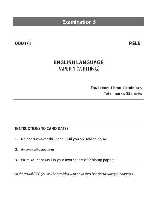 Primary 6 English Practice Papers