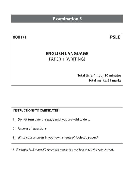 Primary 6 English Practice Papers