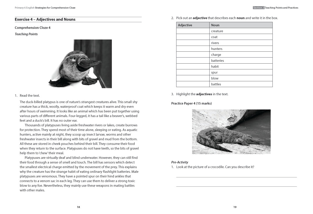 Primary 6 English: Strategies for Comprehension Cloze