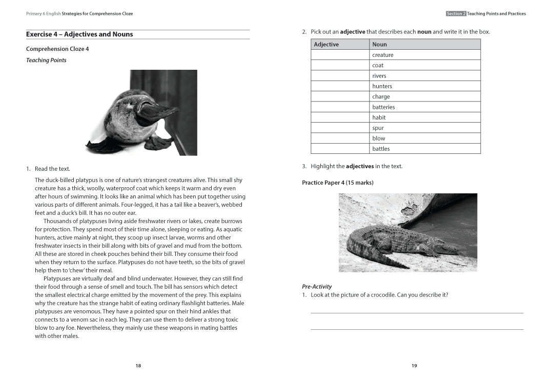 Primary 6 English: Strategies for Comprehension Cloze