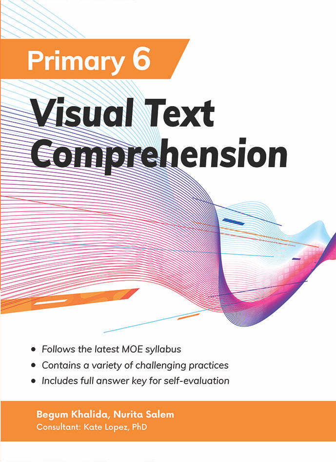 Primary 6 Visual Text Comprehension