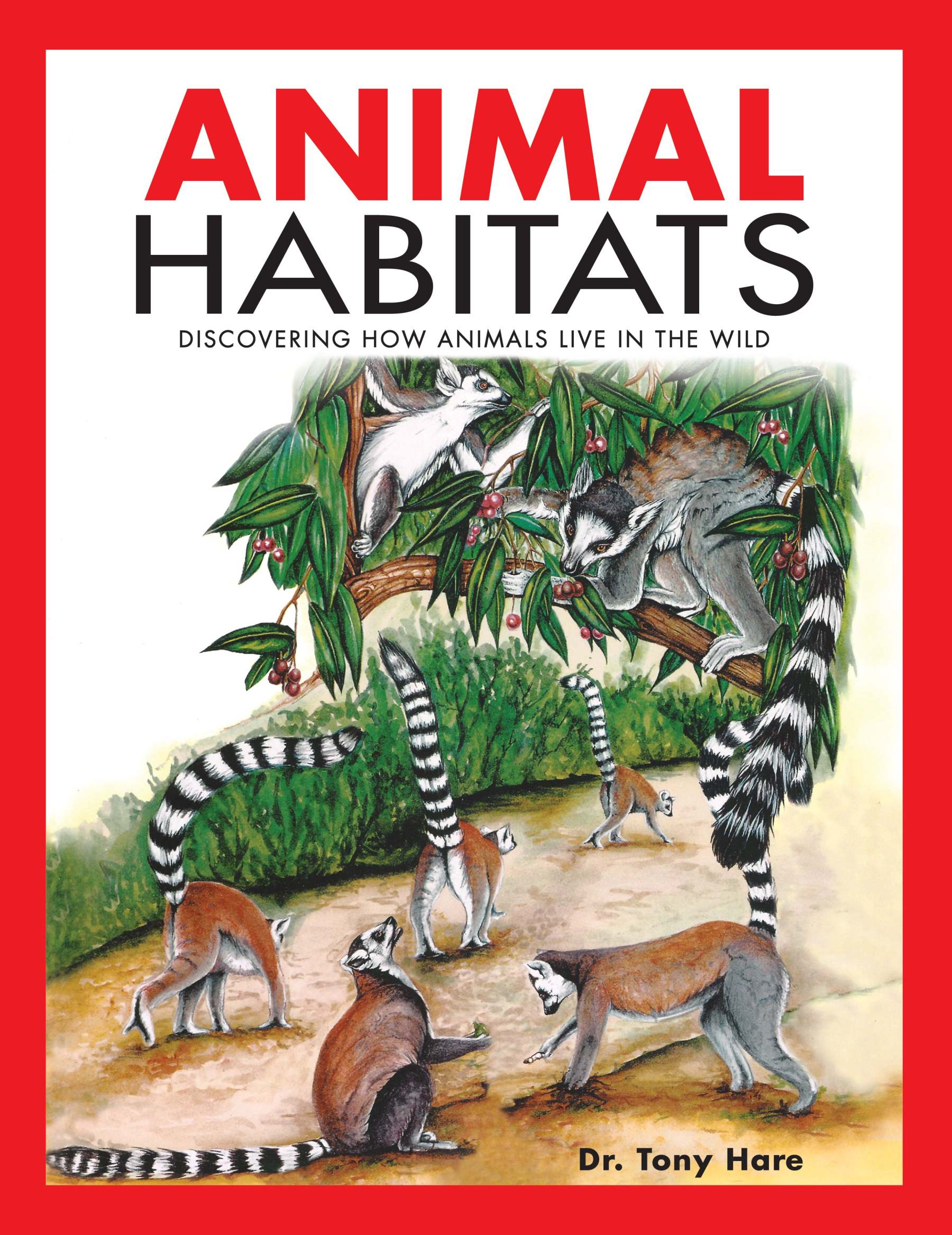 [Pre-Order] - Animal Habitats