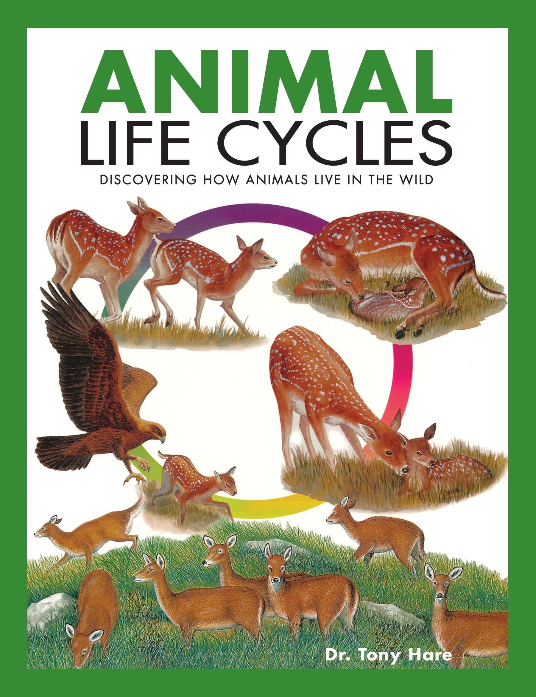 [Pre-Order] - Animal Life Cycles