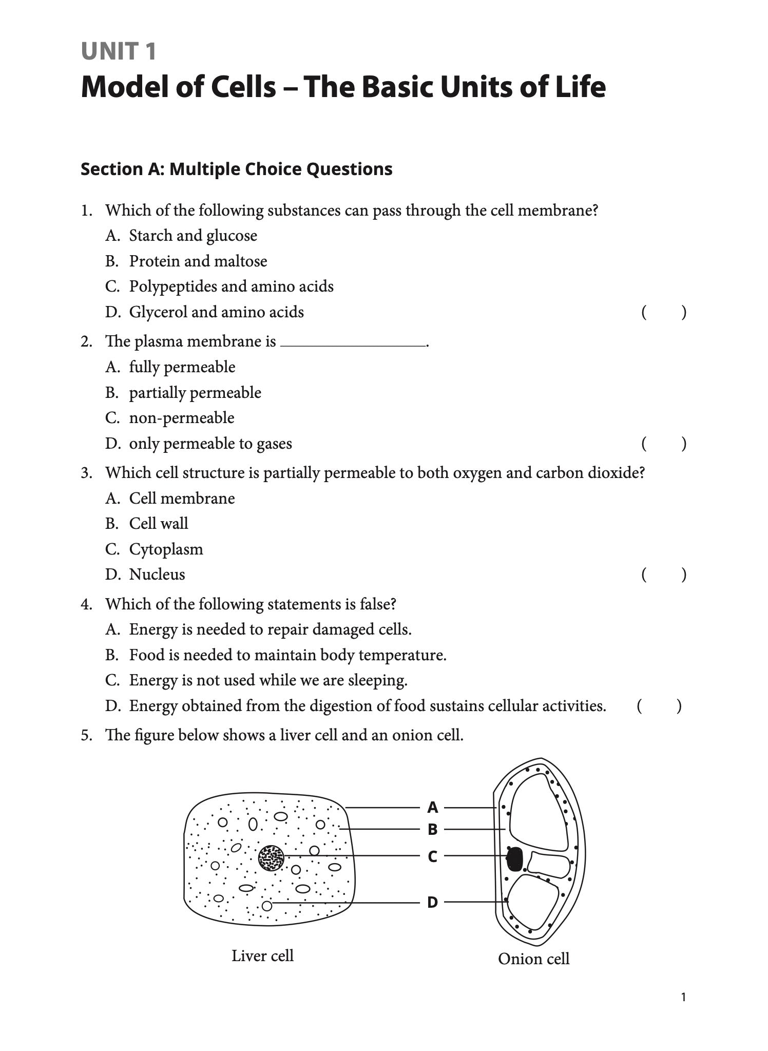 Ace Your Lower Secondary Science Biology