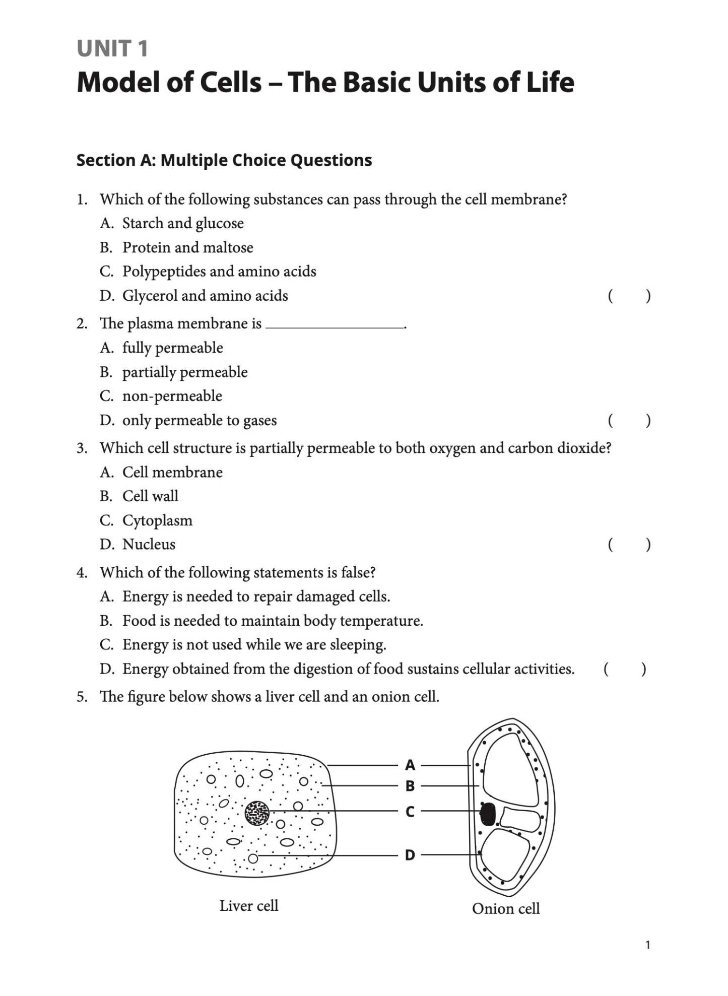 Ace Your Lower Secondary Science Biology