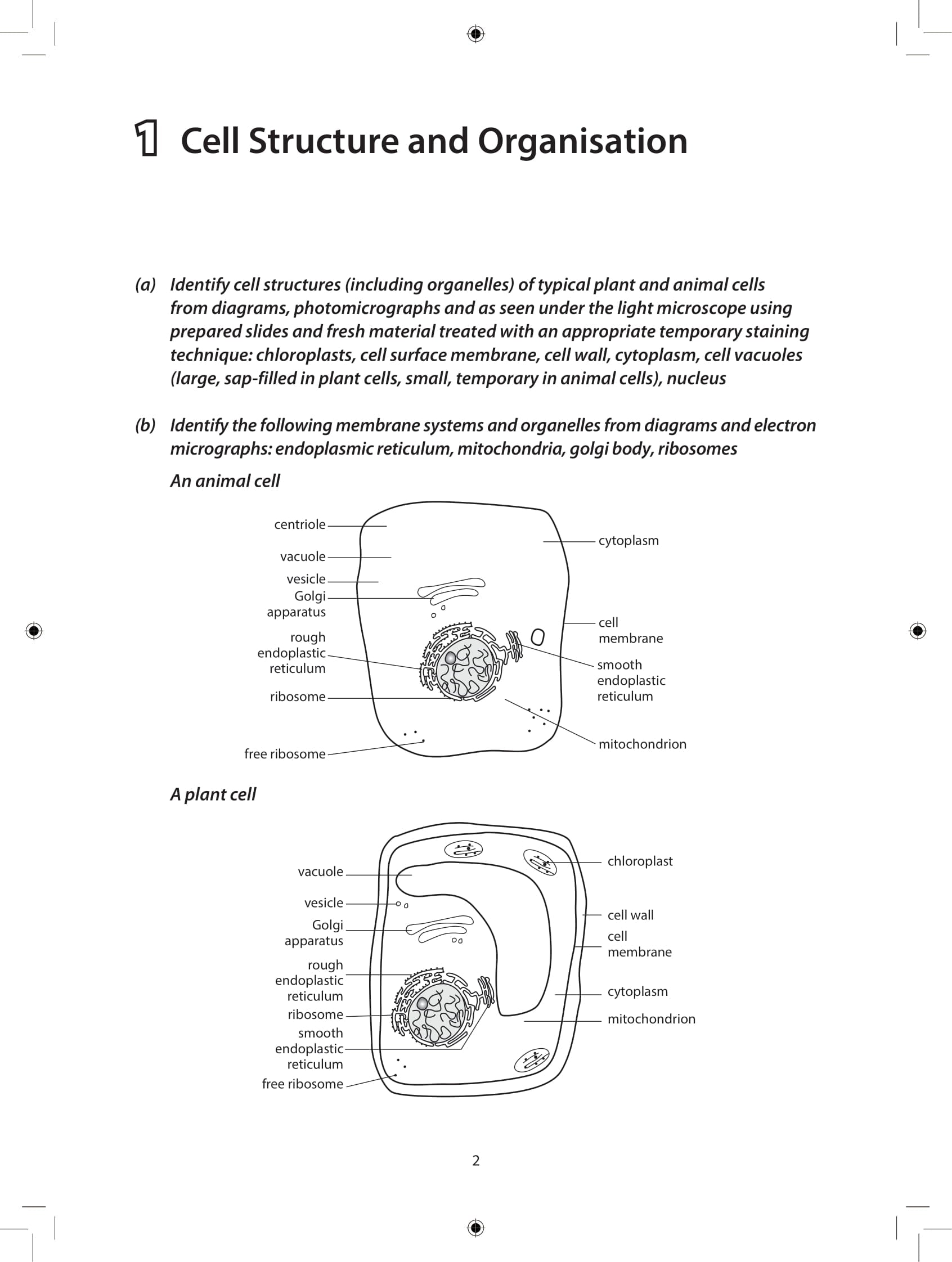 Ace Your O-Level Biology: Key Notes & Exercises
