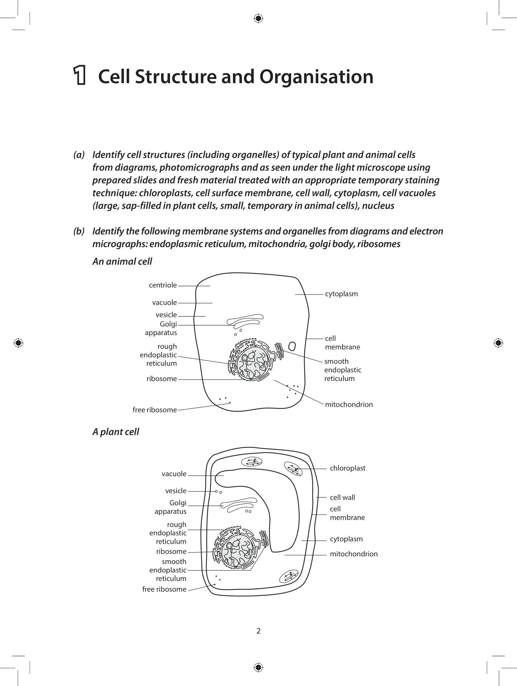 Ace Your O-Level Biology: Key Notes & Exercises