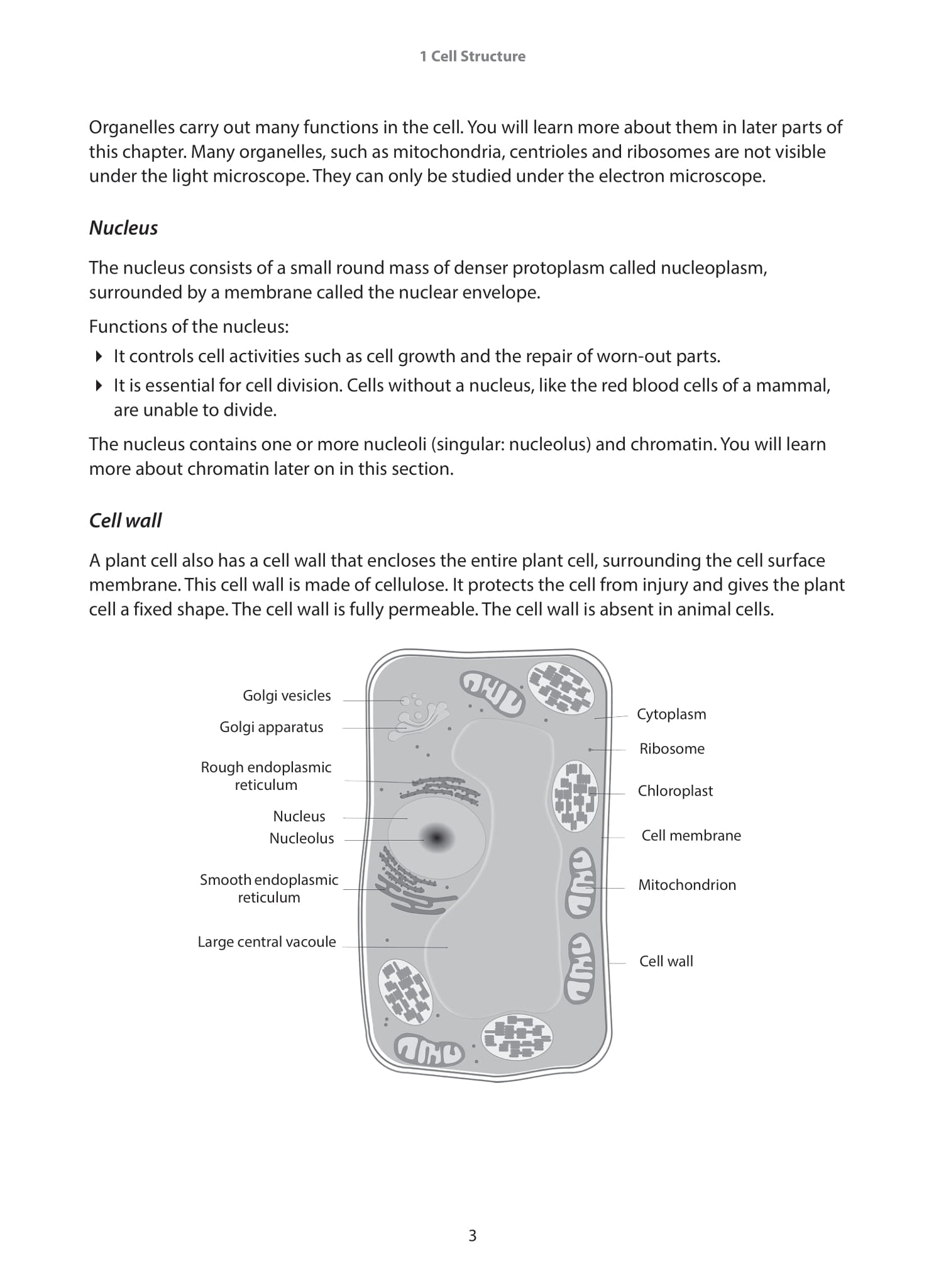 IGCSE and O-Level Biology Guide and Practice Book 1