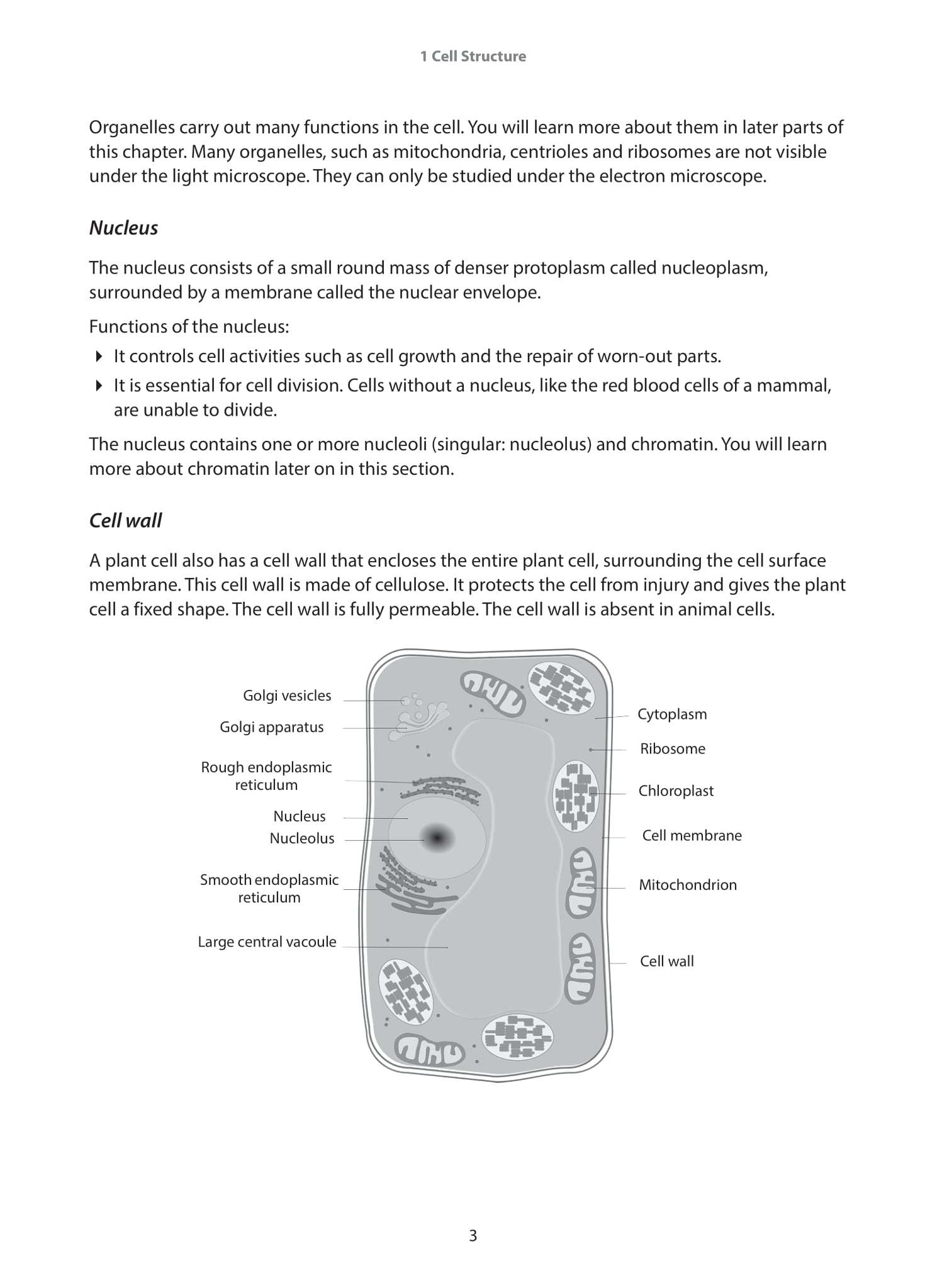 IGCSE and O-Level Biology Guide and Practice Book 1