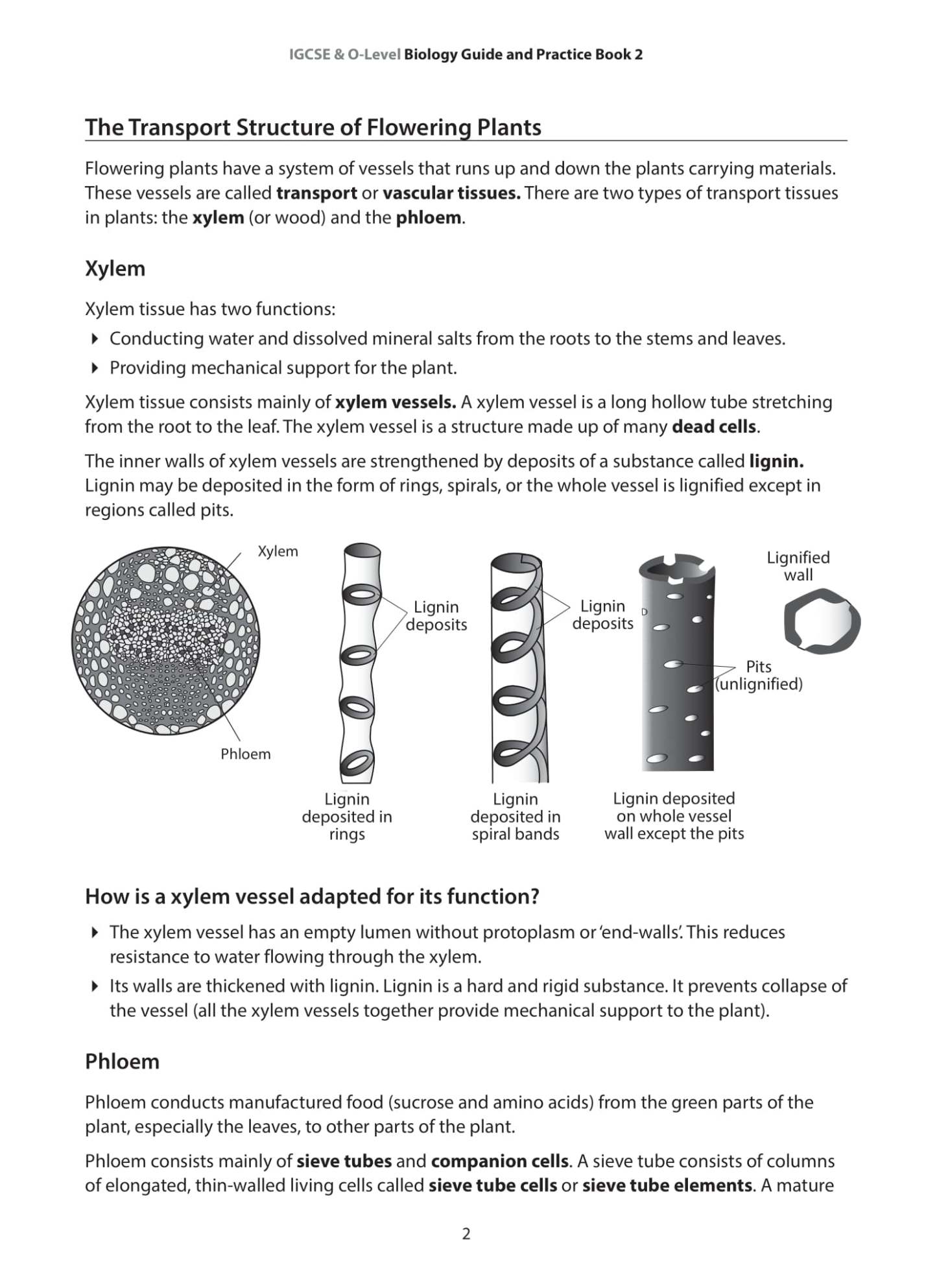 IGCSE and O-Level Biology Guide and Practice Book 2