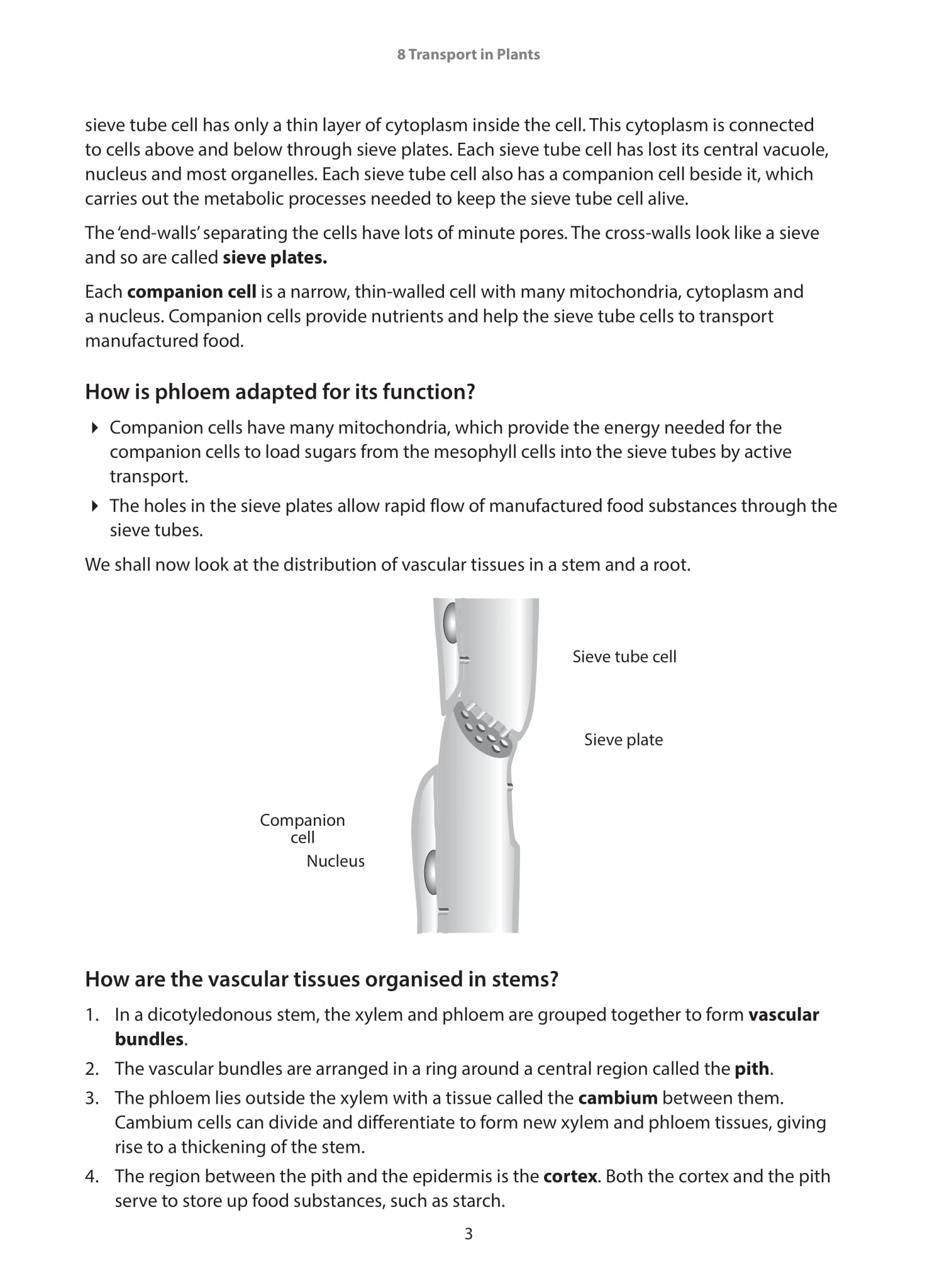 IGCSE and O-Level Biology Guide and Practice Book 2