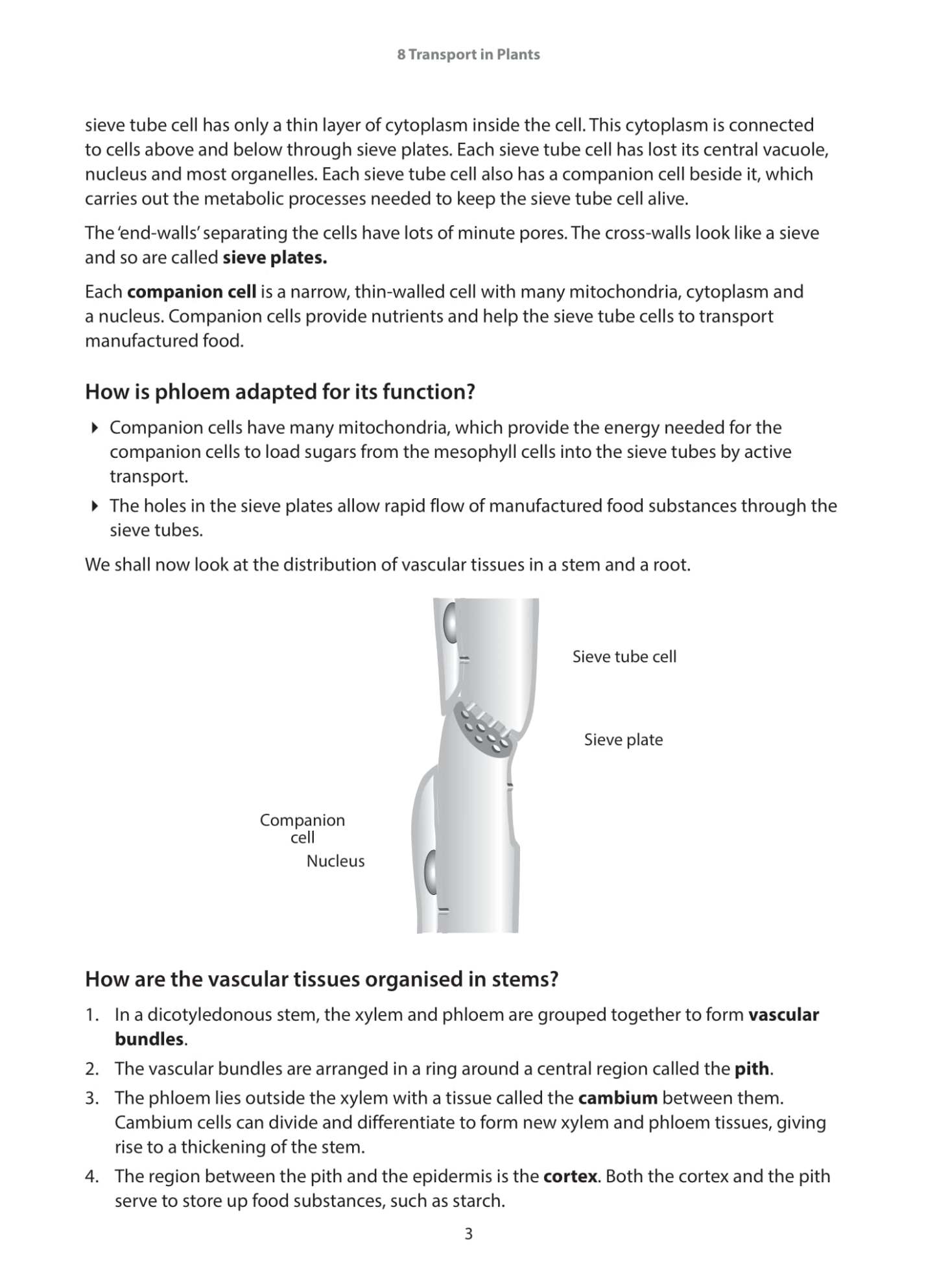 IGCSE and O-Level Biology Guide and Practice Book 2