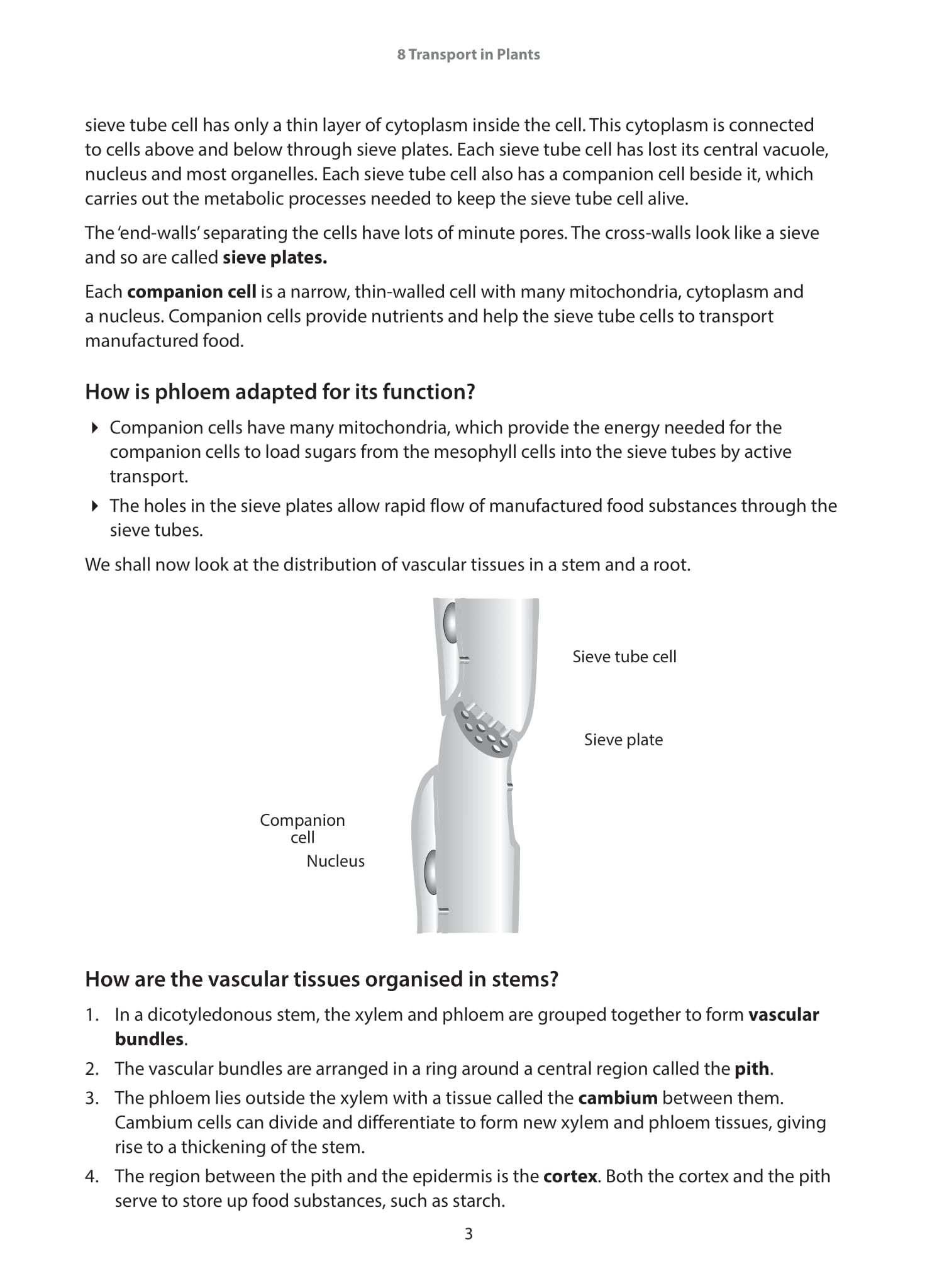 IGCSE and O-Level Biology Guide and Practice Book 2