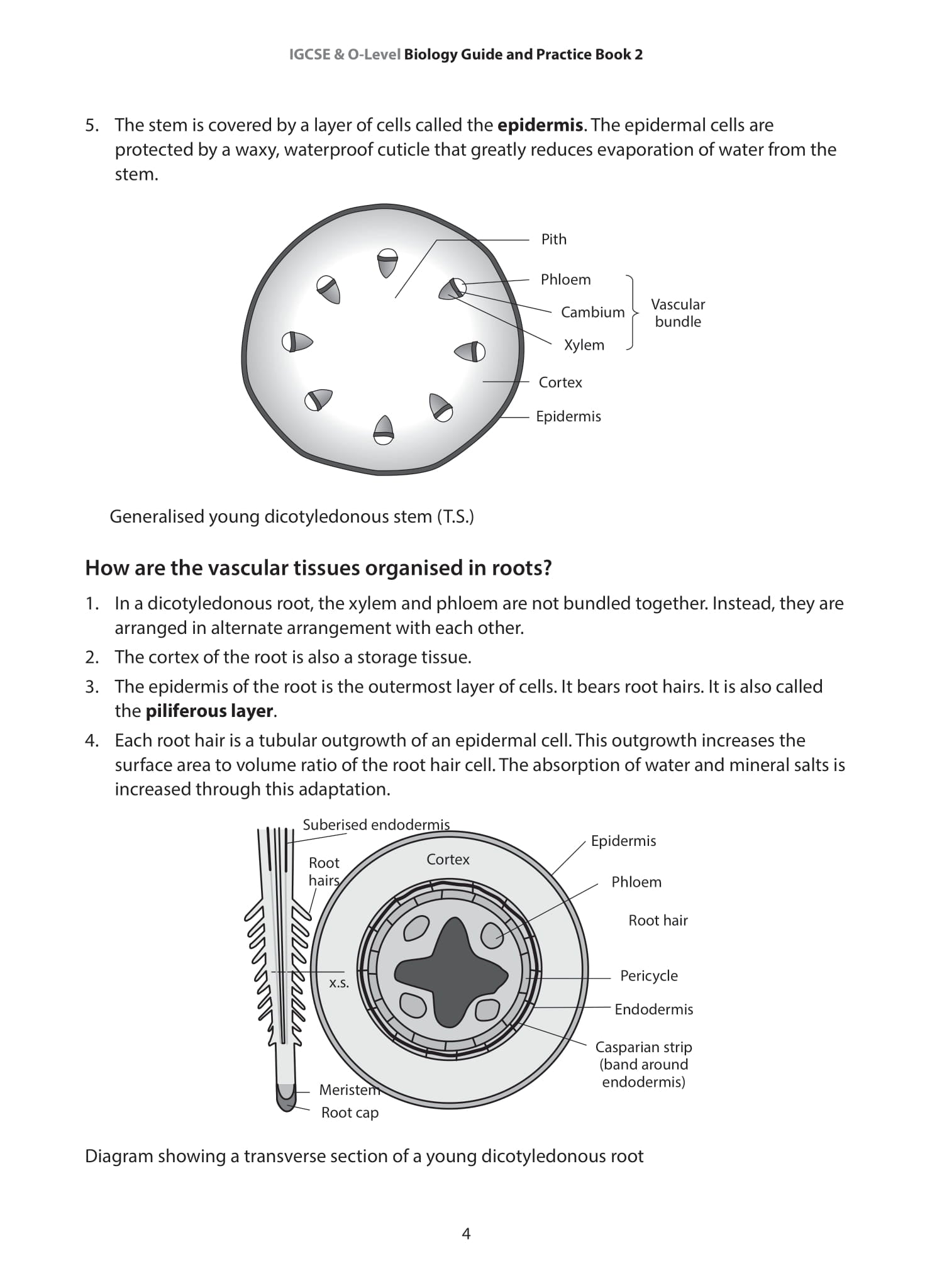 IGCSE and O-Level Biology Guide and Practice Book 2