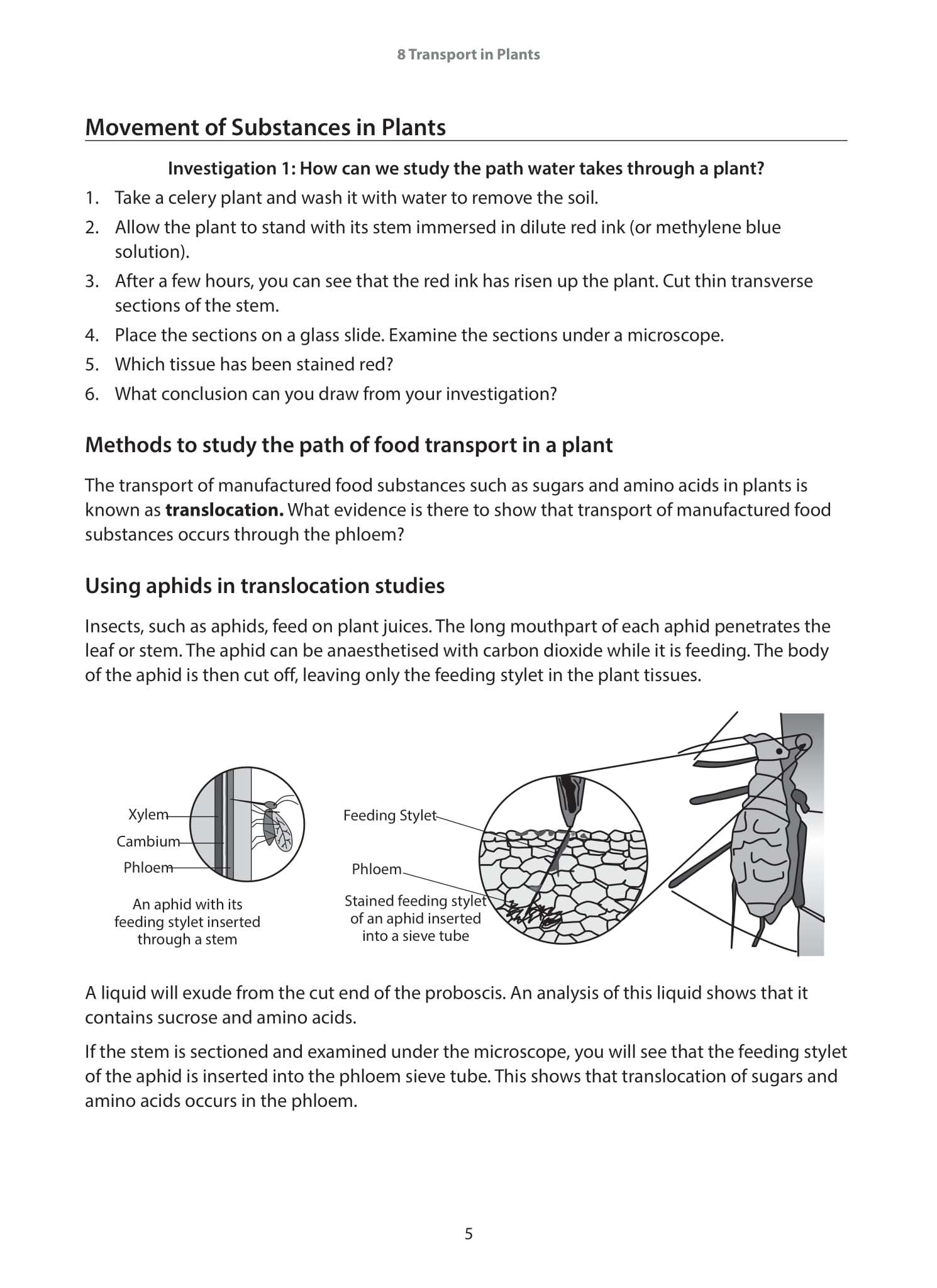 IGCSE and O-Level Biology Guide and Practice Book 2
