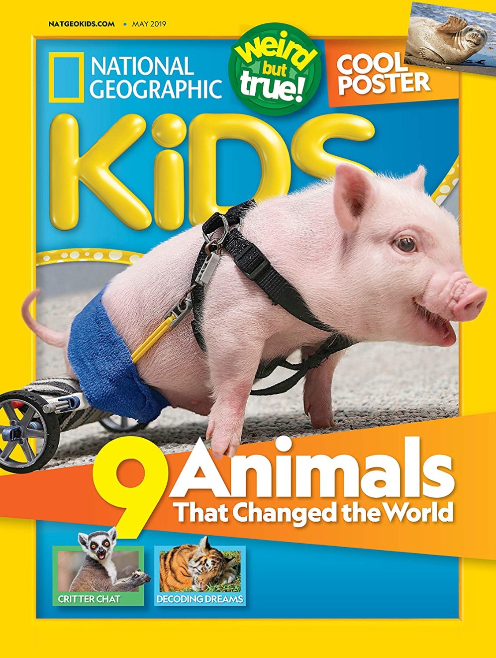 National Geographic Kids