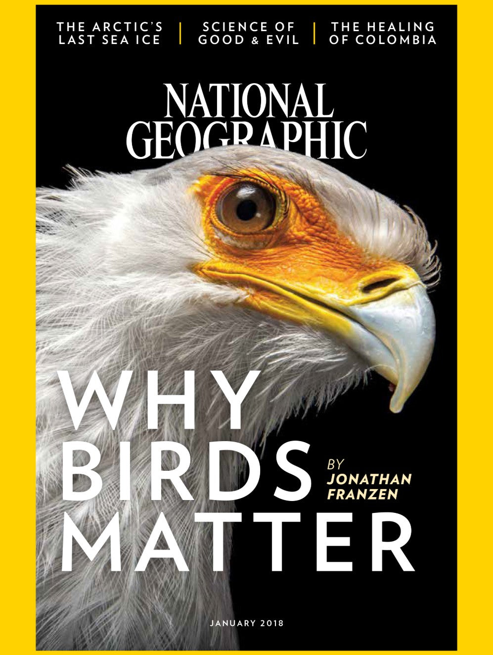 1 Year Subscription - National Geographic