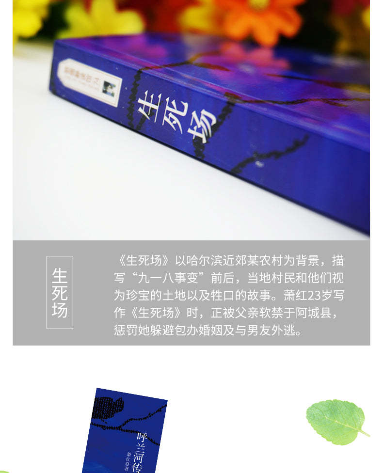 生死场