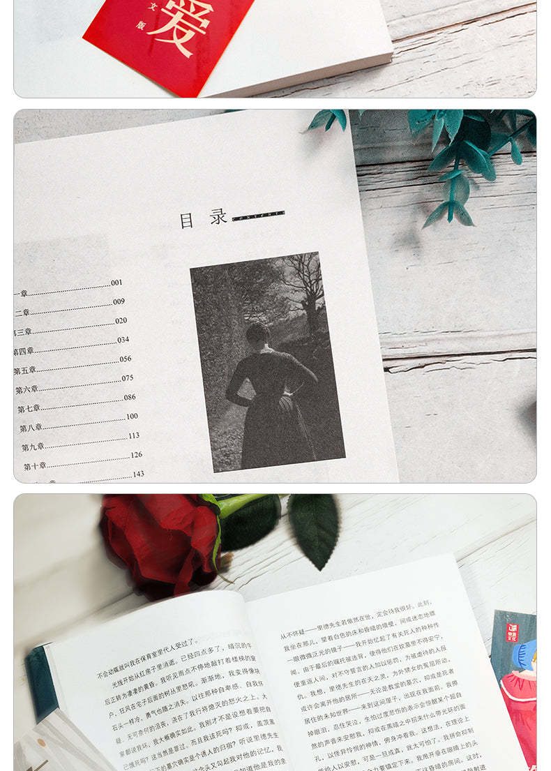 Jane Eyre (English and Chinese)