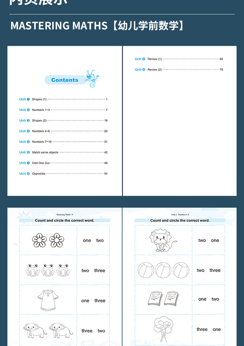 Mastering Mathematics