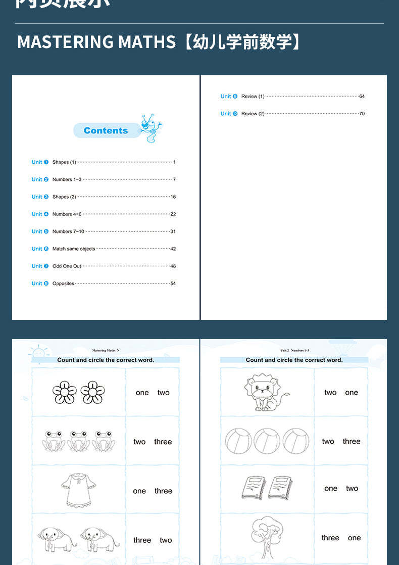 Mastering Mathematics