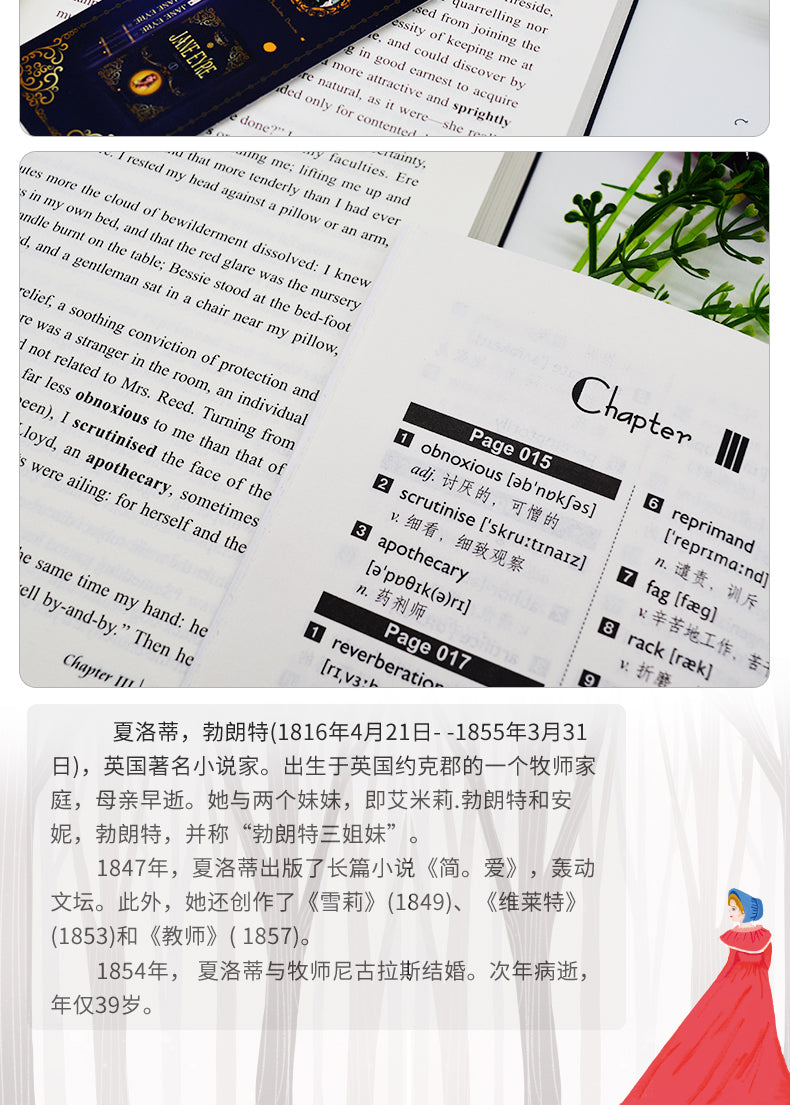 Jane Eyre (English and Chinese)
