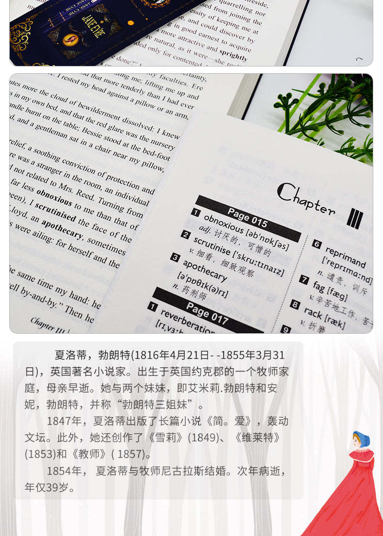 Jane Eyre (English and Chinese)