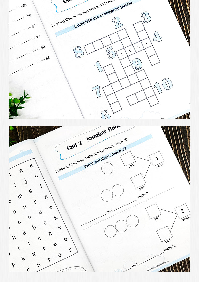 Mastering Mathematics