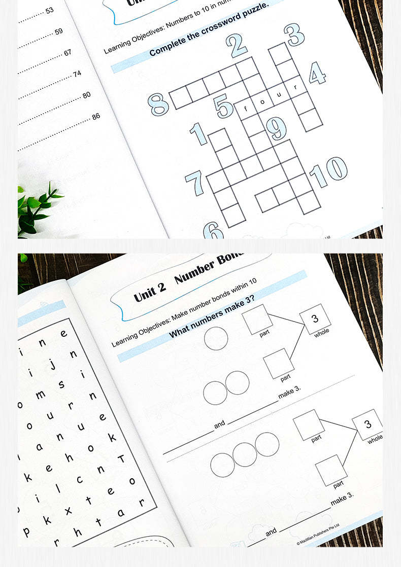 Mastering Mathematics