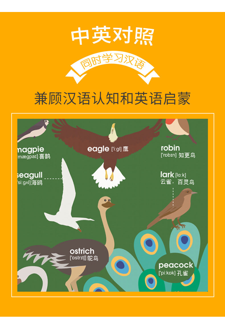 儿童英语单词大书 1000