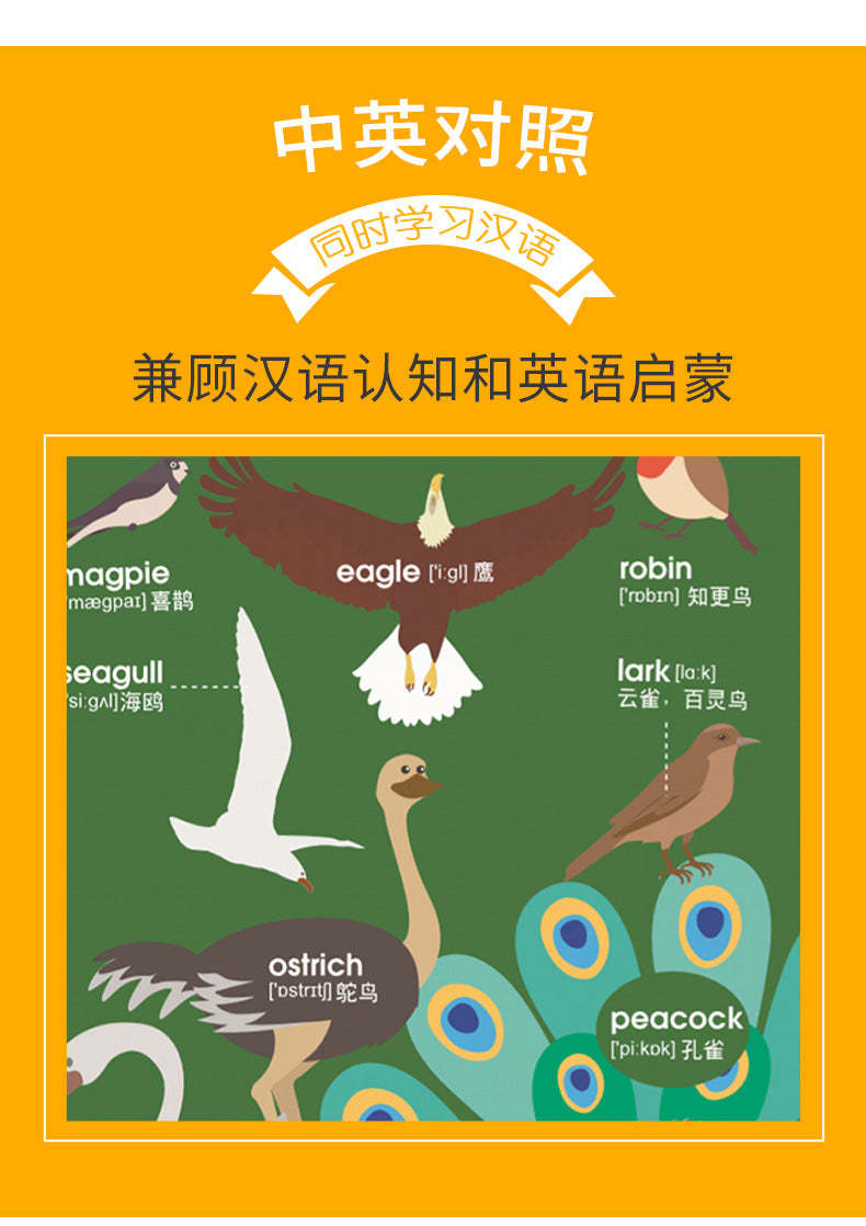 儿童英语单词大书 1000