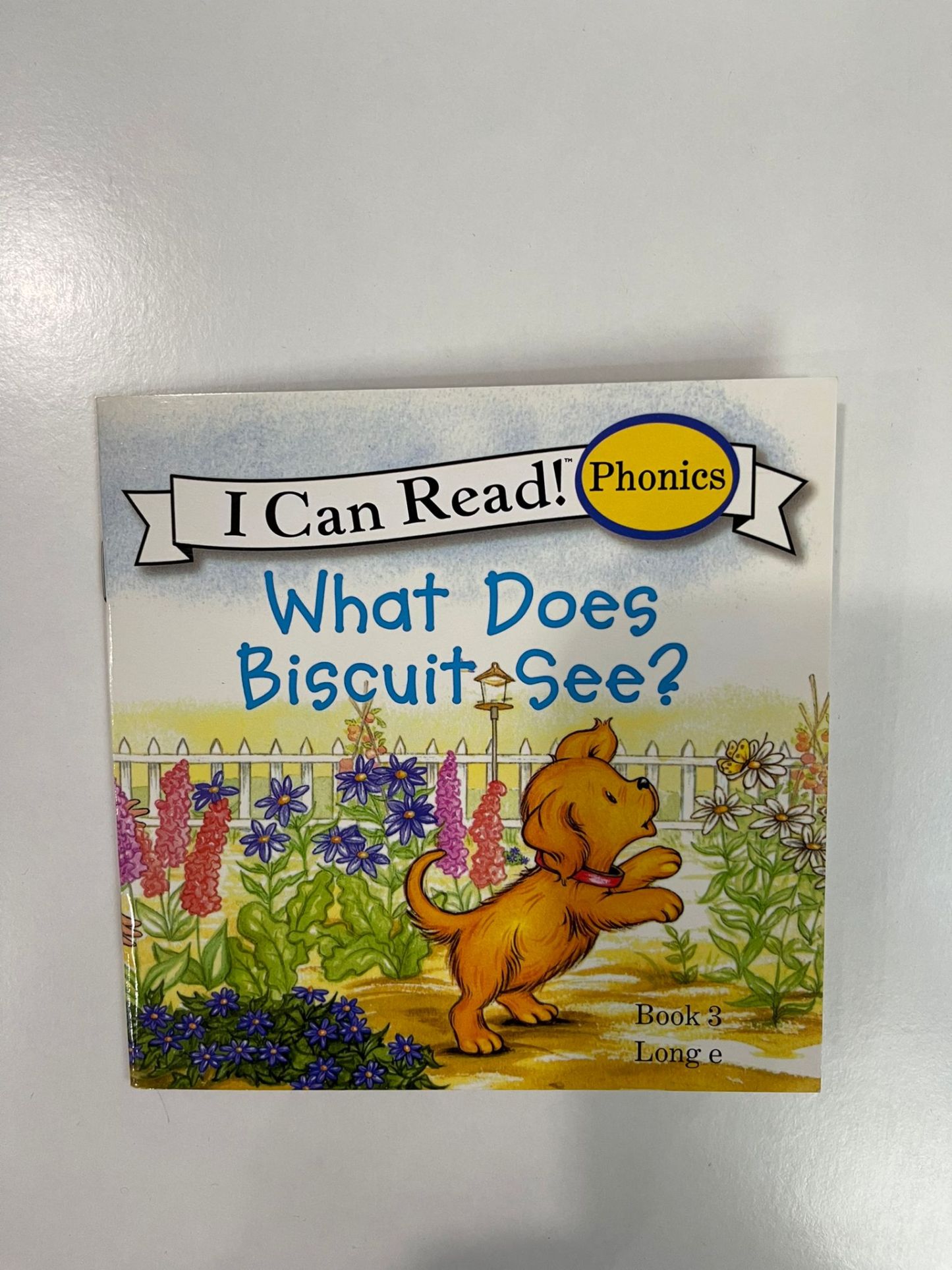 What Does Biscuit See?