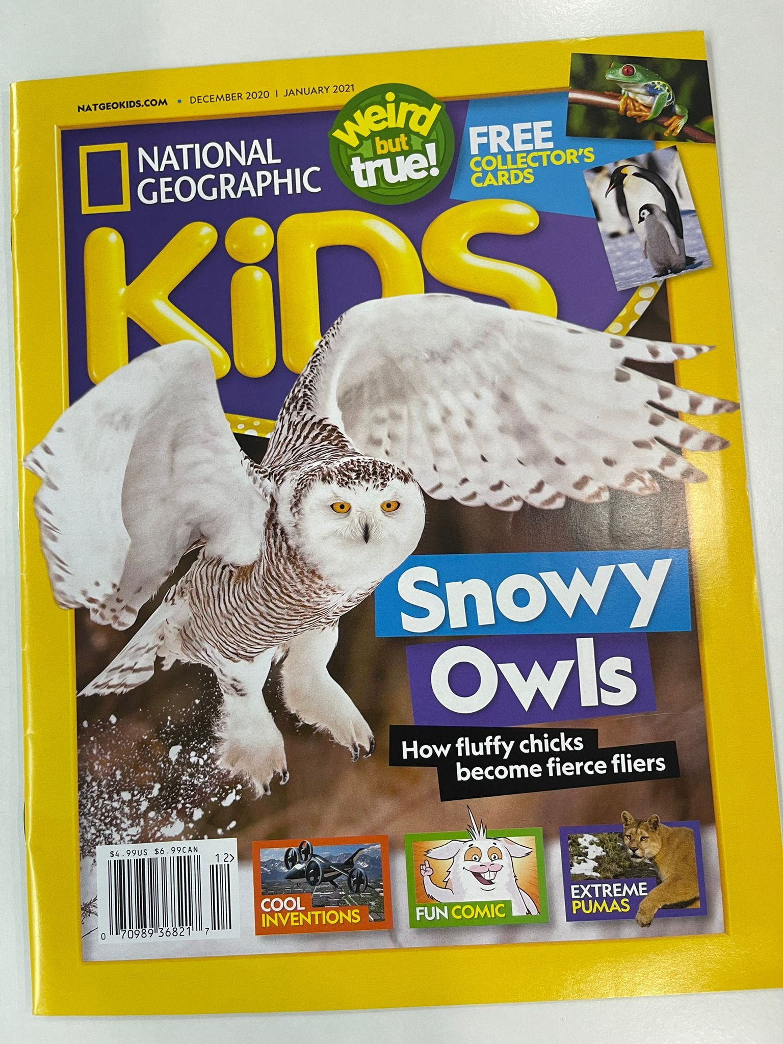 Nat Geo Kids - Snowy Owls