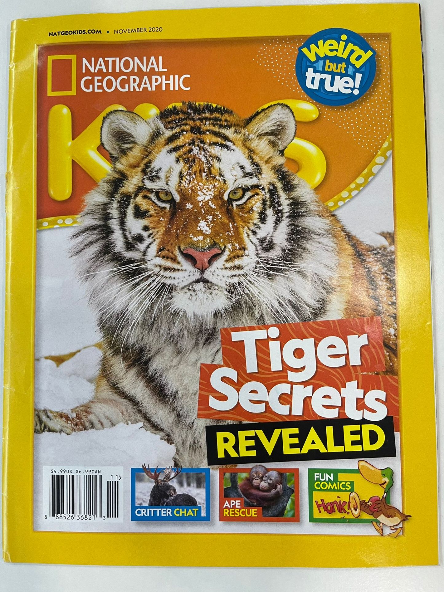 Nat Geo Kids - Tiger Secrets Revealed