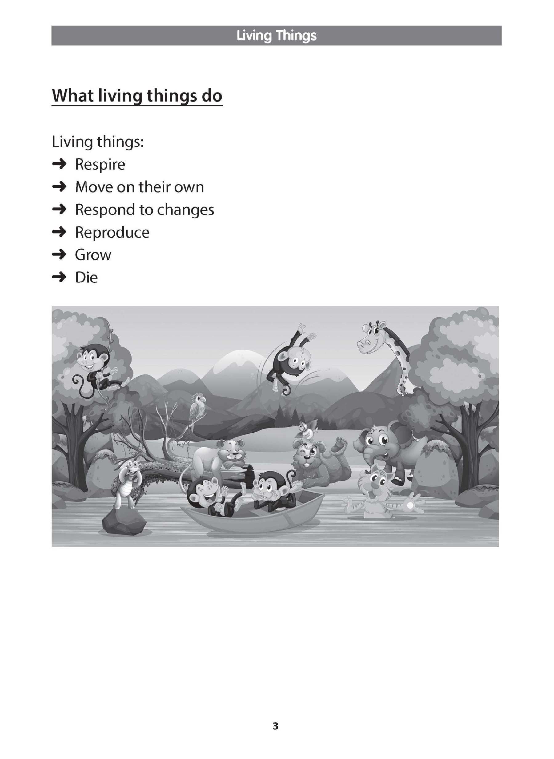 Preparatory Science for Primary 1 & 2