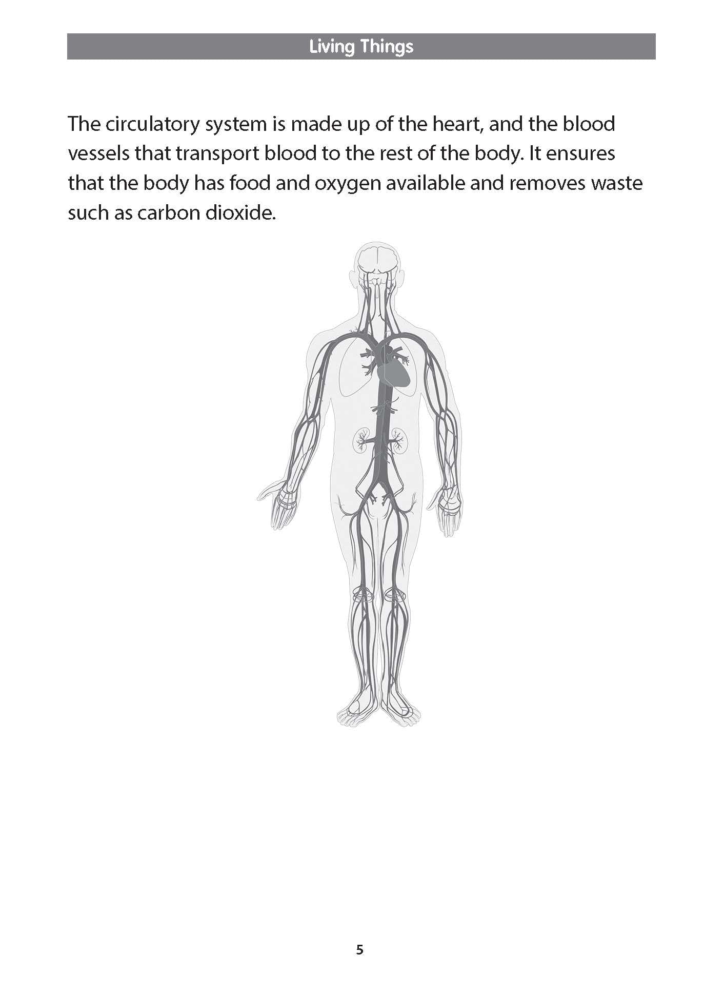 Preparatory Science for Primary 1 & 2