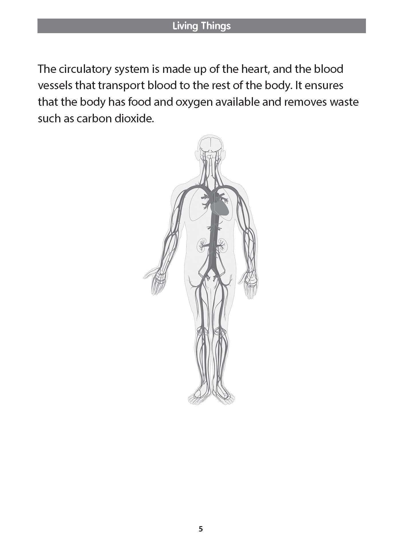 Preparatory Science for Primary 1 & 2