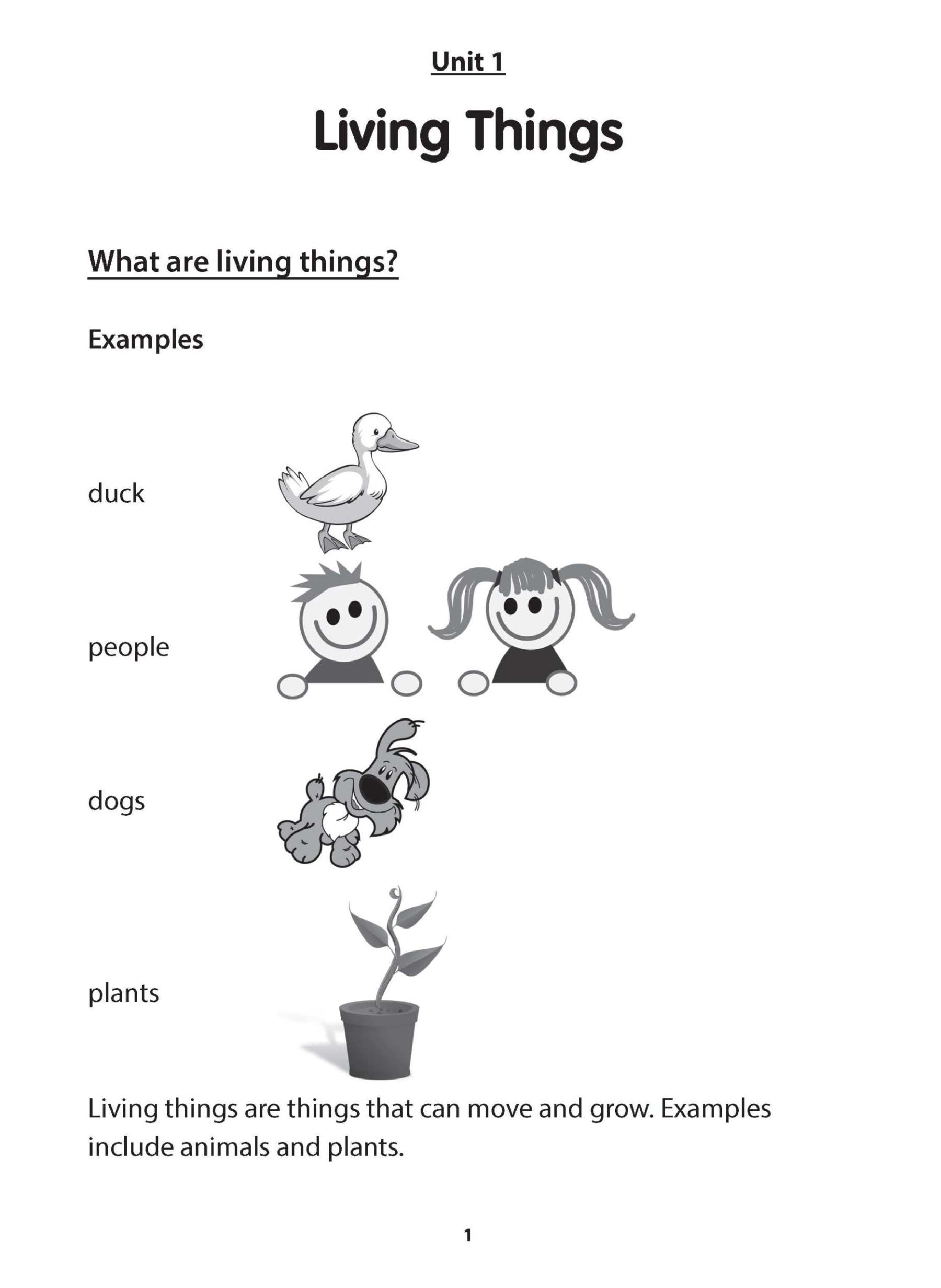 Preparatory Science for Primary 1 & 2